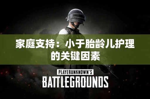 家庭支持：小于胎龄儿护理的关键因素