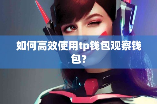 如何高效使用tp钱包观察钱包？