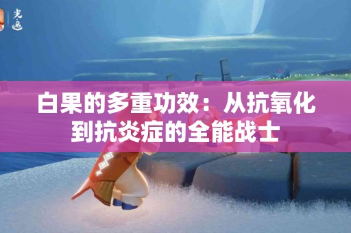 白果的多重功效：从抗氧化到抗炎症的全能战士