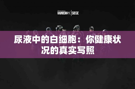 尿液中的白细胞：你健康状况的真实写照