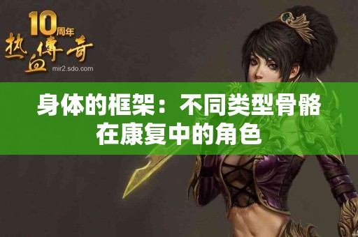身体的框架：不同类型骨骼在康复中的角色