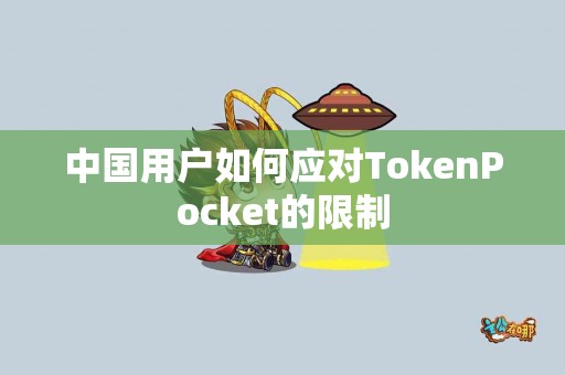 中国用户如何应对TokenPocket的限制