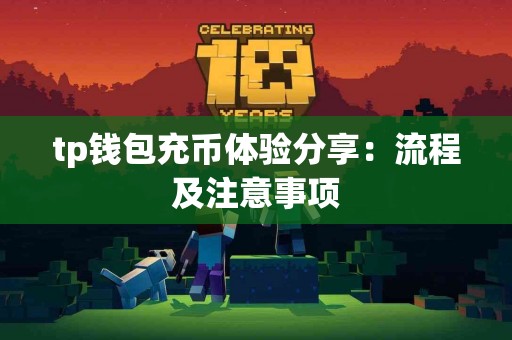 tp钱包充币体验分享：流程及注意事项