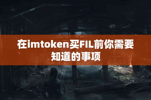 在imtoken买FIL前你需要知道的事项