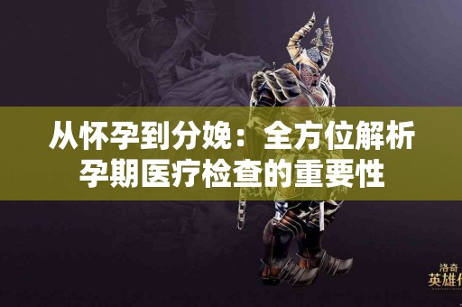 从怀孕到分娩：全方位解析孕期医疗检查的重要性