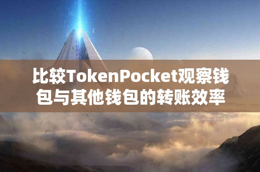 比较TokenPocket观察钱包与其他钱包的转账效率