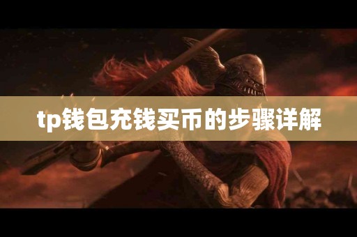 tp钱包充钱买币的步骤详解
