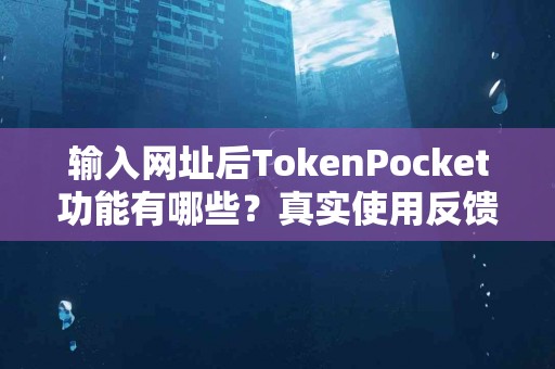输入网址后TokenPocket功能有哪些？真实使用反馈