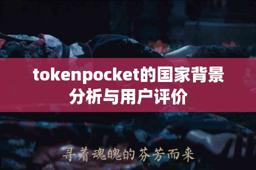 tokenpocket的国家背景分析与用户评价