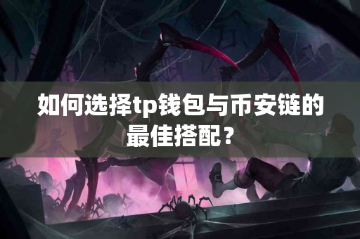 如何选择tp钱包与币安链的最佳搭配？