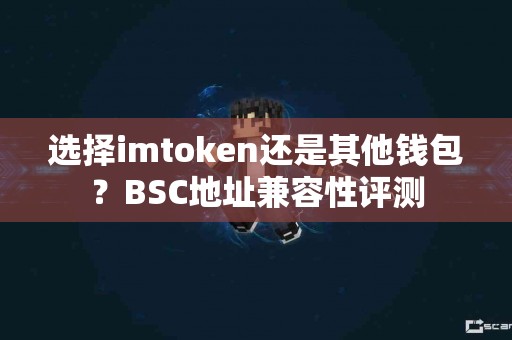 选择imtoken还是其他钱包？BSC地址兼容性评测