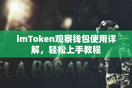 imToken观察钱包使用详解，轻松上手教程