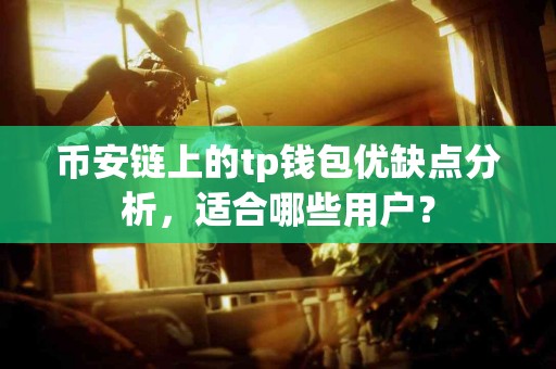 币安链上的tp钱包优缺点分析，适合哪些用户？