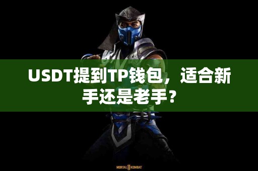 USDT提到TP钱包，适合新手还是老手？