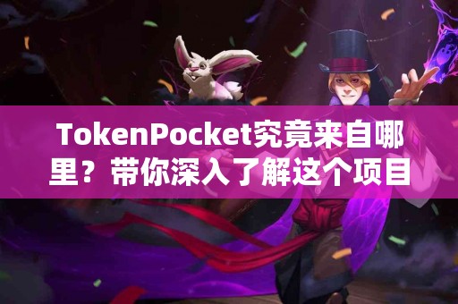 TokenPocket究竟来自哪里？带你深入了解这个项目
