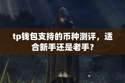 tp钱包支持的币种测评，适合新手还是老手？