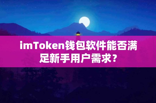 imToken钱包软件能否满足新手用户需求？