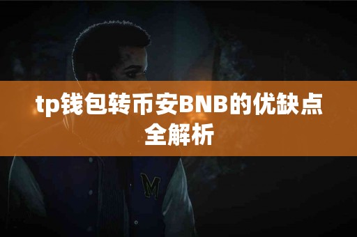 tp钱包转币安BNB的优缺点全解析