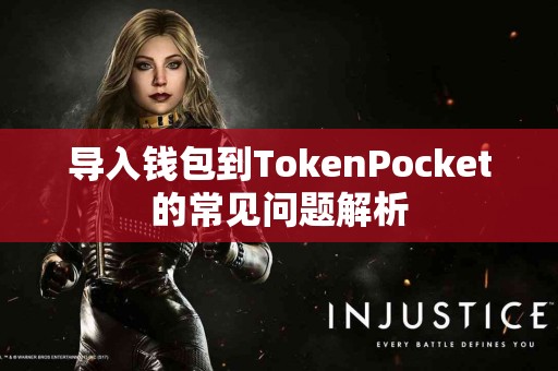 导入钱包到TokenPocket的常见问题解析