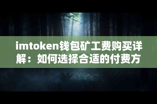 imtoken钱包矿工费购买详解：如何选择合适的付费方式？