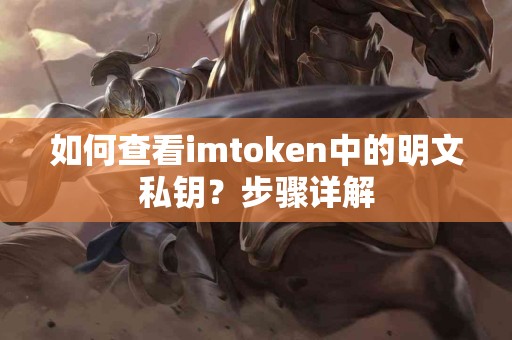 如何查看imtoken中的明文私钥？步骤详解