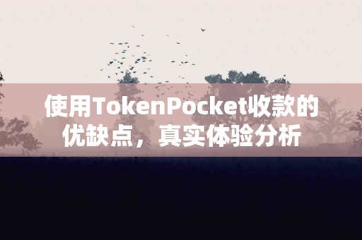 使用TokenPocket收款的优缺点，真实体验分析