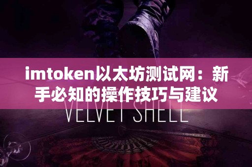 imtoken以太坊测试网：新手必知的操作技巧与建议