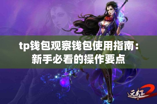 tp钱包观察钱包使用指南：新手必看的操作要点