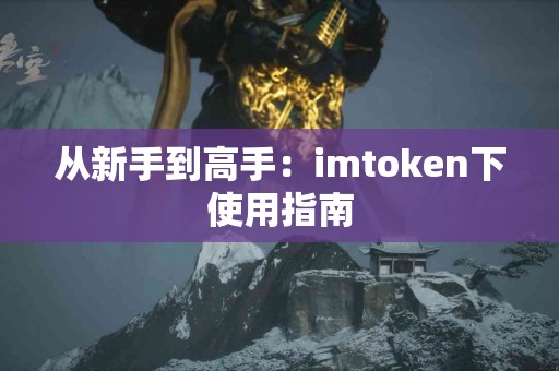 从新手到高手：imtoken下使用指南