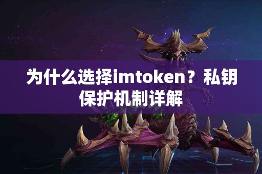 为什么选择imtoken？私钥保护机制详解