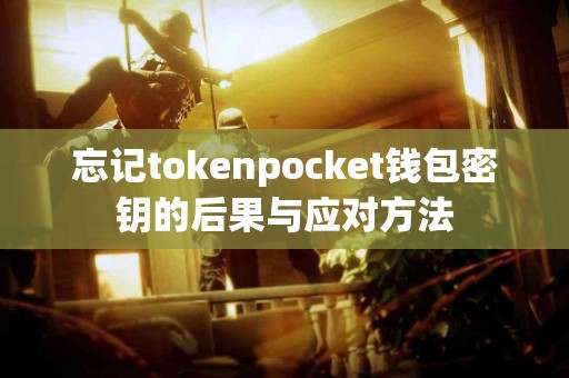 忘记tokenpocket钱包密钥的后果与应对方法