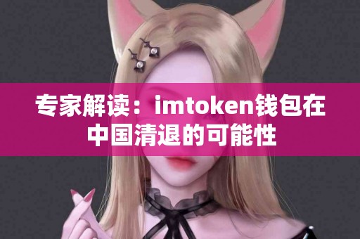 专家解读：imtoken钱包在中国清退的可能性