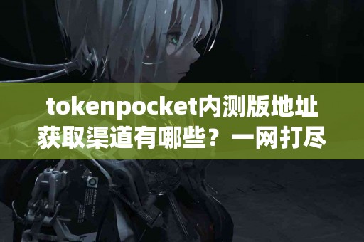 tokenpocket内测版地址获取渠道有哪些？一网打尽
