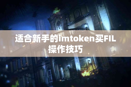 适合新手的imtoken买FIL操作技巧