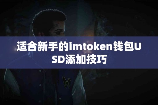 适合新手的imtoken钱包USD添加技巧