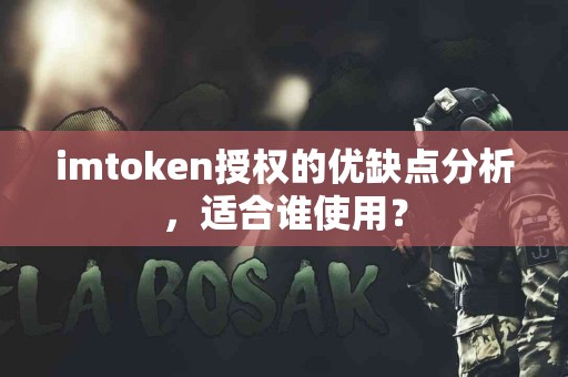 imtoken授权的优缺点分析，适合谁使用？