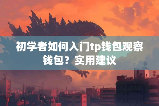 初学者如何入门tp钱包观察钱包？实用建议