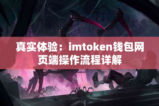 真实体验：imtoken钱包网页端操作流程详解