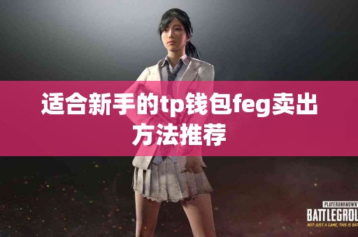 适合新手的tp钱包feg卖出方法推荐