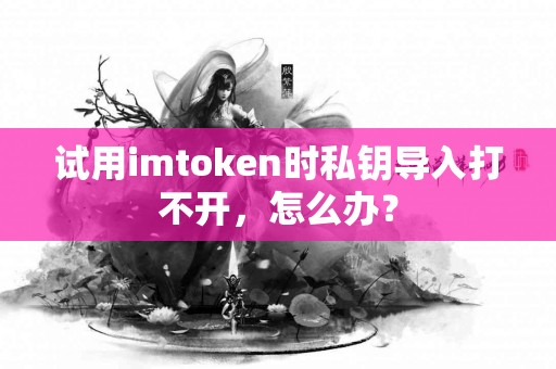 试用imtoken时私钥导入打不开，怎么办？