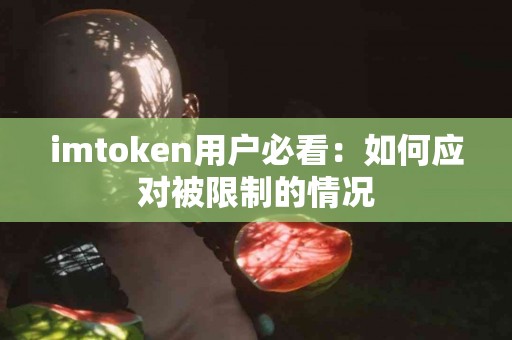 imtoken用户必看：如何应对被限制的情况
