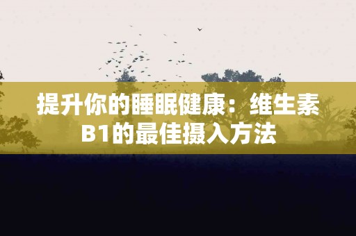 提升你的睡眠健康：维生素B1的最佳摄入方法