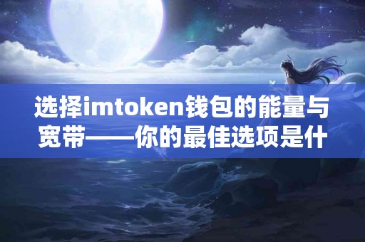 选择imtoken钱包的能量与宽带——你的最佳选项是什么？