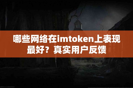 哪些网络在imtoken上表现最好？真实用户反馈