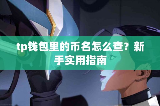 tp钱包里的币名怎么查？新手实用指南