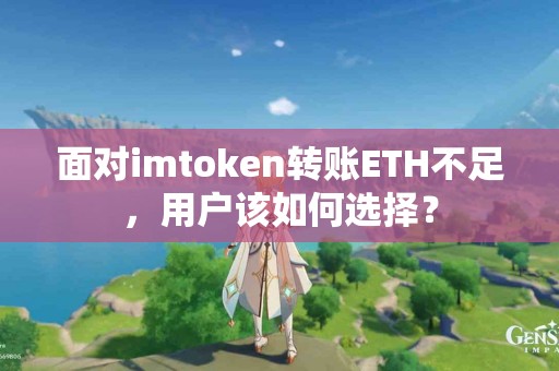 面对imtoken转账ETH不足，用户该如何选择？