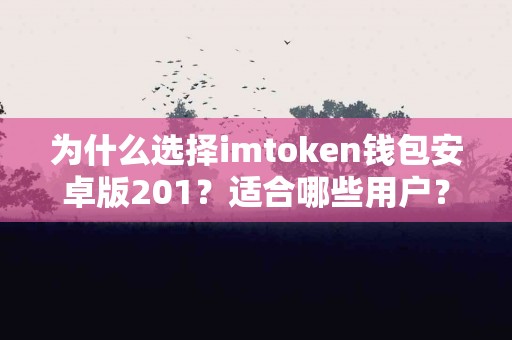 为什么选择imtoken钱包安卓版201？适合哪些用户？