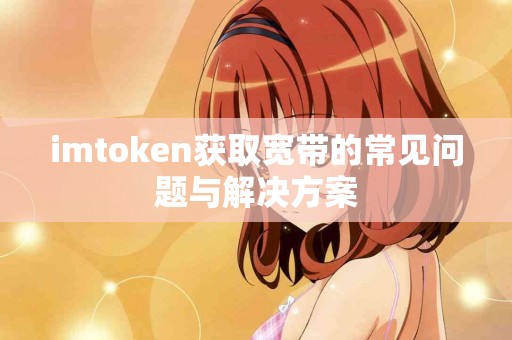 imtoken获取宽带的常见问题与解决方案