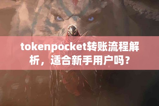 tokenpocket转账流程解析，适合新手用户吗？