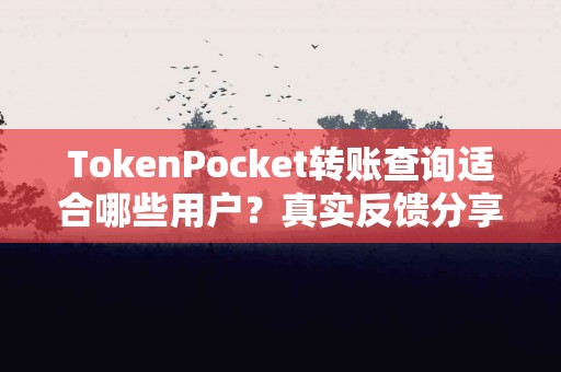 TokenPocket转账查询适合哪些用户？真实反馈分享